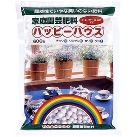 Rainbow Away Happy House 600g