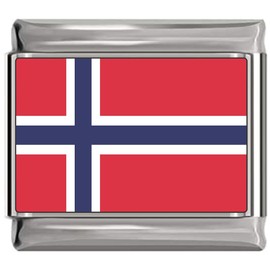 NewCharms Norway Flag Italian Charm Bracelet Jewelry Link
