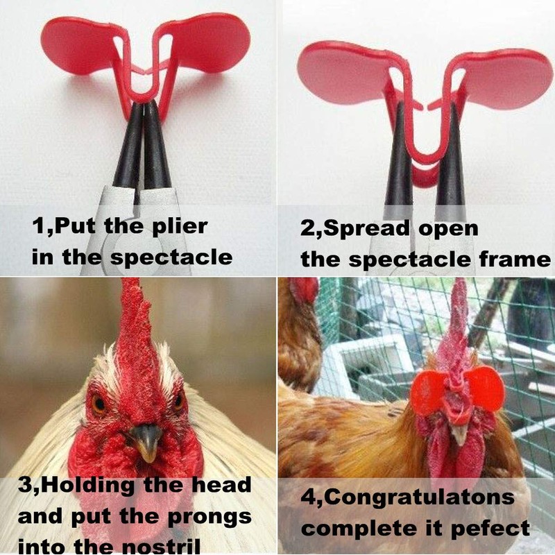 Weilan Pinless Peepers with Pliers Chickens Blinders Pheasant Poultry Spectacles