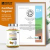 Turmeric and Black Pepper Capsules | 1440mg Dose | 120
