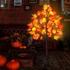 4 Feet Prelit Fall Maple Tree Thanksgiving Decorations with 60