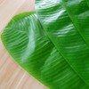 10PCS Artificial Banana Leaves Large Tropical Leaves Decorations Party Supplies
