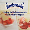 Ambrosia - Devon Custard - 400g