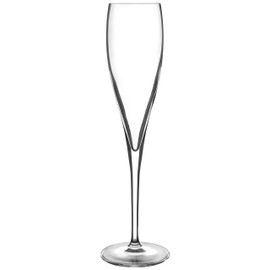 Luigi Bormioli Styles 6 oz Sparkling Wine Glasses (Set Of 2), Clear
