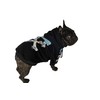 ChoChoCho Woof Dog Hoodie, Designer Dog Hoodies for Small Medium