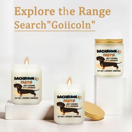 Goiicoln Dachshunds Gifts, Lavender Scented Dachshunds Candle Gifts for Women, Weenie Decor, Weiners Dog Stuff, Funny Weenie Dog Gift for Home Mom Friends Coworker