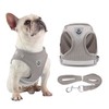 Dog Harness for Small Breed,Puppy Vest Harness Pet Chest Strap,