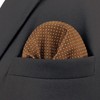 S&W SHLAX&WING Ties for Men Brown Copper Formal Neck Tie