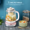 Aroma Professional AWK-701 16-in-1 Nutri-Water, Green, Fruit, Flower Tea, Coffee,
