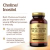 Solgar Choline/Inositol 500 mg/500 mg, 100 Vegetable Capsules - Energy