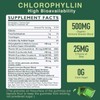 Rootzen 100mg High Concentration Chlorophyll Gummies | Revitalize Skin +