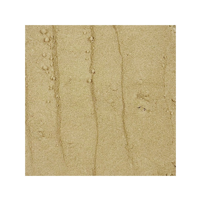 Oherb 국산 참당귀 당귀 가루 분말 250g 데커신 Korean Angelica