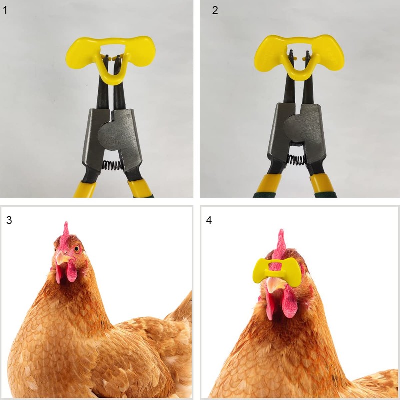 Weilan 20 Pieces Pinless Peepers with Pliers Chicken Peepers Eye