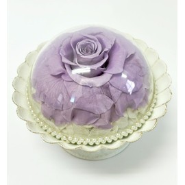 "Preserved Flowers, Buddha Flowers, Purple Rose, Acrylic Dome, Supplement Flowers, Never Withered Flowers, for Buddhist Altar, Lifesday, Obon