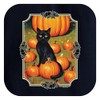Fall Clothes for Women Black Cat in A Pumpkin Patch