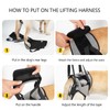 Dotoner Dog Lifting Harness, Dog Support Harness for Rear Legs,