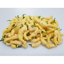 Murupi Amarela Pepper 10+ Seeds