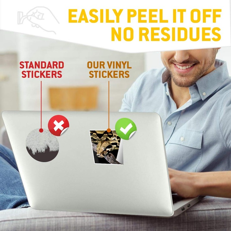 2 x Square 7.5cm Vinyl Stickers - Boa Constrictor Snake