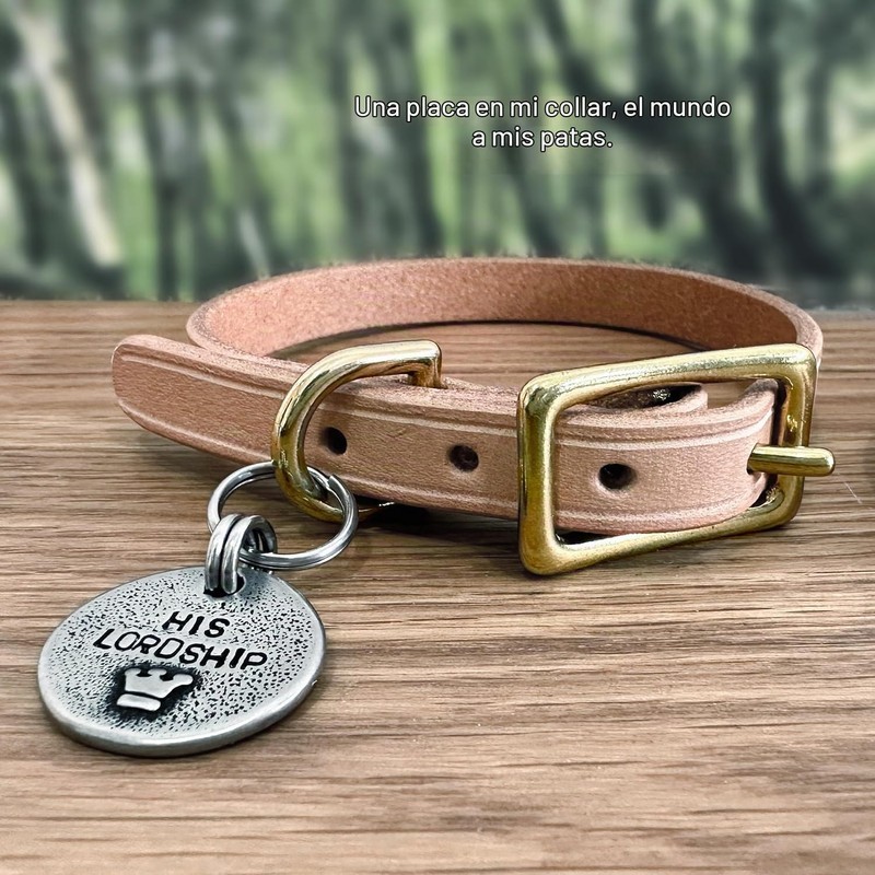 Etiquetas Collares Gatos Perros Placas de Identificación, Diseño Artesanal Único