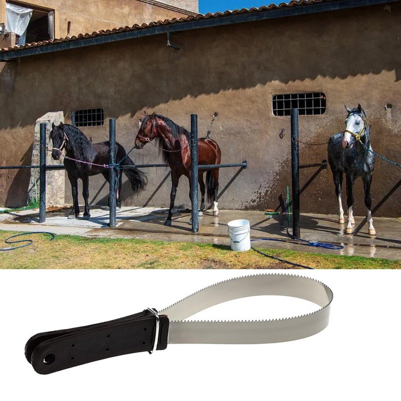 MEISH Horse Hair Brush Dual-Sided Shedding Blade Stainless Steel Shedder