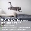 Nutrates Nutrates Nutrats Pet Supplement, Joints, Skin, Nerves, Kidney Care,