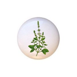 Herbs Spices Kitchen Cook Cooking Bake Baking Decorative Ceramic Dresser Drawer Pulls Cabinet Cupboard Knobs (Basil)
