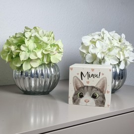 MIAU Cat Money Box Wooden Birthday Money Box Drawing Piggy Bank Illustration Money Box Googly Eyes Save Cat People Home