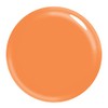 Boho Chic Gel Polish CNL545 Horizons, 0.44 Fl Oz, 1