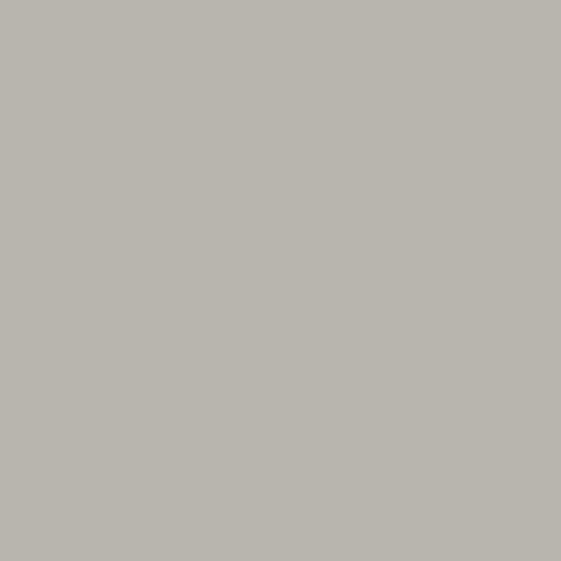Leonado Vicenti Classic Fitted Sheet, 100% Jersey Cotton, in Many
