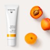 Dr. Hauschka Dr Hauschka Apricot Day Cream 30ml