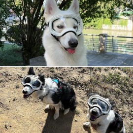 Billionchains Dog Sunglasses UV Protection Clear Dog Goggles Windproof Glasses with Elastic Straps for Medium-Large Breed, White Frame + Clear Lens