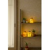 Takasho LGS-114 Garden Light Fairy Mason Jar, Gold