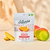 Salento Provisions Dried Organic Mango 3.5 oz (Pack of 6)