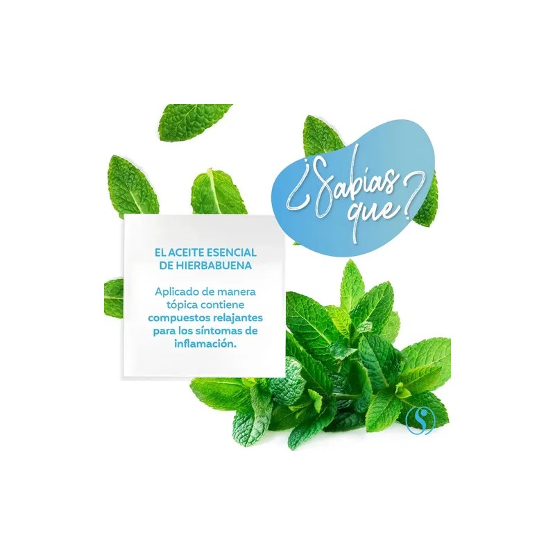 Aceite Esencial Hierbabuena Para Uso Tópico Y Humidificador