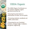 Fresh Roasted Coffee, USDA Organic Peru | 3rd Party Tested