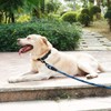 BTINESFUL Tie-Out Check Cord Long Rope Dog Leash, 8ft 12ft