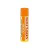 Burt's Bees Mango Lip Balm / 버츠비 망고 립밤