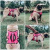 Tuff Pupper Escape Proof No Escape Dog Harness | 5