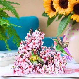 HEARTAGS- Birthday Card for Women, 6x8 in Hummingbird Cherry Blossom Pop Up Birthday Cards for Mom, Wife, Daughter, Her, Sister, Grandma, Mother in Law from Husband, Mothers Day Card, Mother's Card