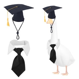 Tinoaly Graduation Porch Goose Outfits, Gradation Cap & Necktie Costume for 23" & 17" Plastic and Concrete Lawn Geese Grad Goose Statue Clothes for Indoor Outdoor Decor Party Yard Art Decoration