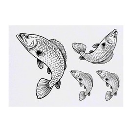 Azeeda 4 x 'Hecht Fisch' Temporäre Tattoos - Wasserfest, Hautfreundlich & Ungiftig · Transfers in Verschiedenen Größen (TO00069130)