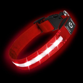 PetIsay Light up Dog Collar - High Visibility & Durable Nylon Material - USB C Rechargeable & Waterproof LED Dog Collar for Night Walking,Lighted Dog Collar Glow in The Dark Flashing(Red,Large)