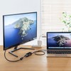 Sanwa Supply USB to 3TCH35BK HDMI Converter Adapter with USB