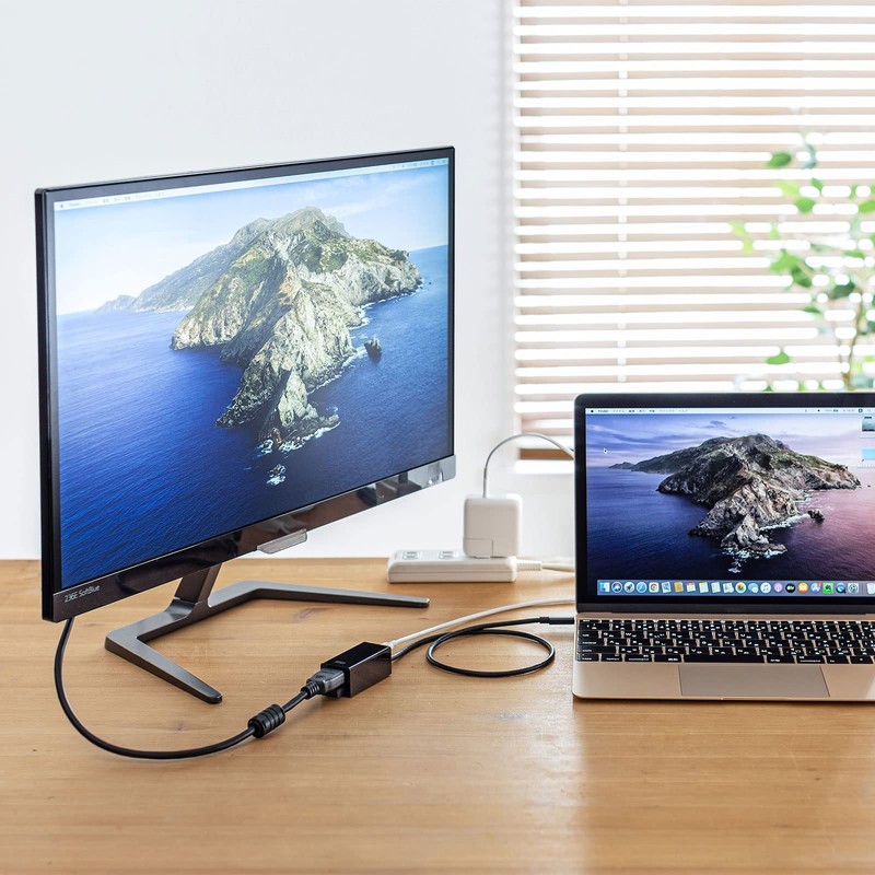 Sanwa Supply USB to 3TCH35BK HDMI Converter Adapter with USB