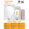 CRLight 5-inch 12W 2700K Opal Dimmable Warm White Large Globe
