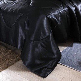 NTBED Silky Satin Comforter Set Queen Black, Soft Lightweight Microfiber Luxury