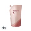 Oldive The Professional Hair Color Oxidizer 6, 1L, 6 pcs / 올디브 더 프로페셔널 헤어컬러 산화제 6, 1L, 6개