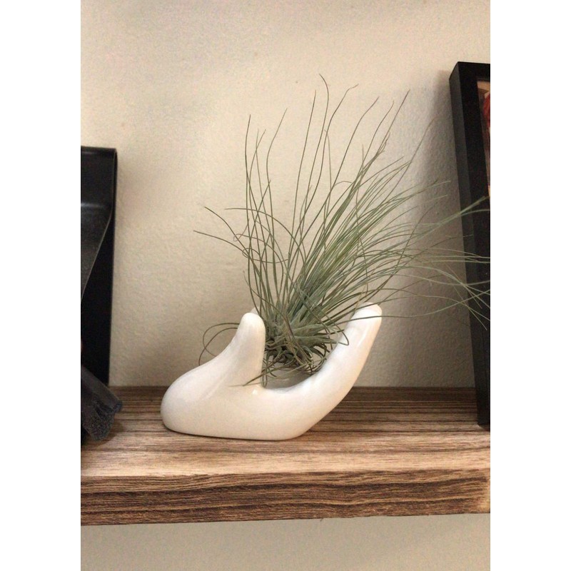 Dahey Air Plant Holder Cute Ceramic Mini Hand Shape Stand