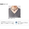 Phiten EXTREME Delta Necklace, RAKUWA Neck, 17.7 inches (45 cm),