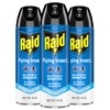 Raid Flying Insect Killer, Kills Flies, Mosquitoes, and Other Flying